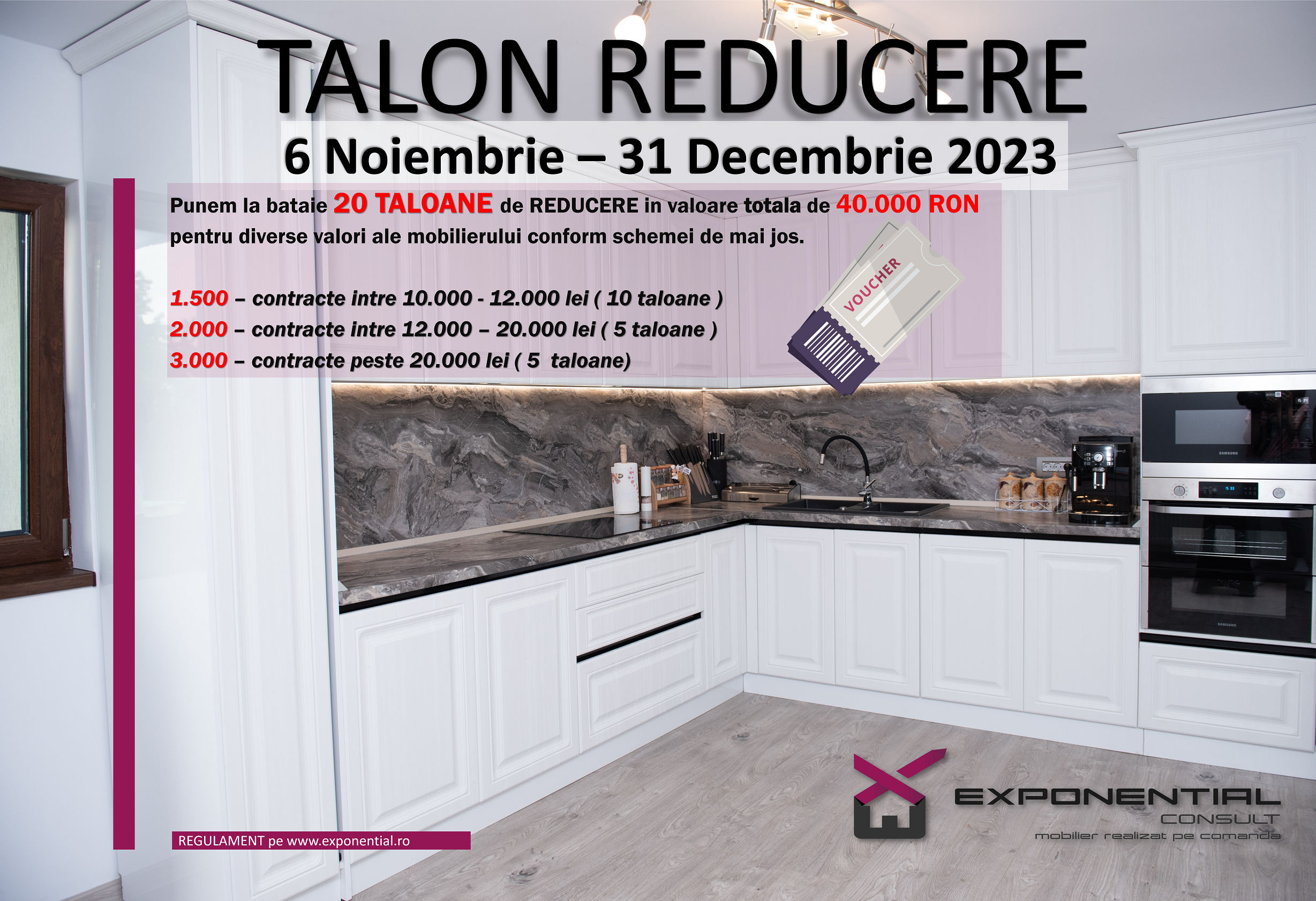 TALON EXPONENTIAL CONSULT